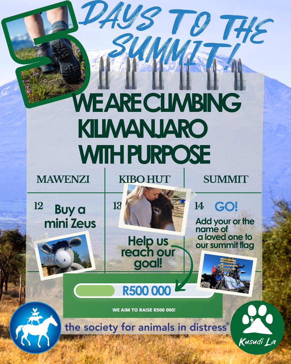SaidFundraiser's tweet photo. 5 Days to the Summit! 🧗‍♀️ Support @SAID CEO Meg Harvey's climb to fund a new vehicle. Donate &amp; share! https://t.co/K4BYvfCIGh #5DaysToTheSummit #ClimbingForACause https://t.co/UAw5PhAyGx
