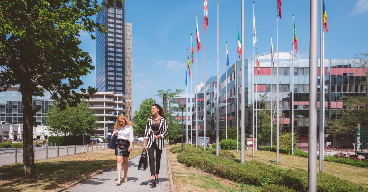European Court of Auditors tweet media