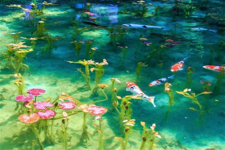 oceanweavee's tweet photo. nature is beautiful https://t.co/SEkcxduTPy