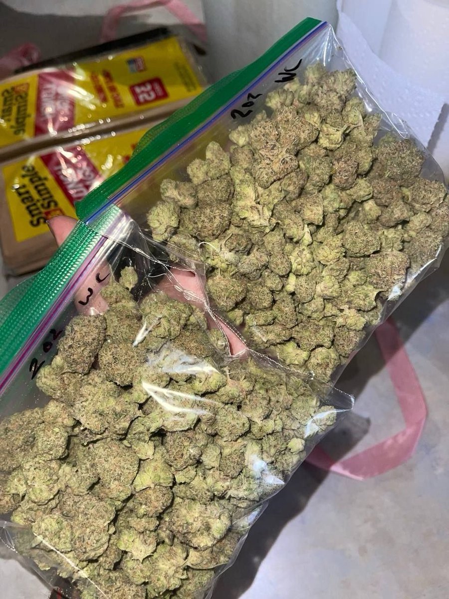 Jameskushplug's tweet photo. Weed #Melrose, Weed #Milngavie, Weed #Montrose, Weed #Motherwell, Weed #Musselburgh, Weed Nairn, Weed #Oban, Weed #Paisley, Weed #Peebles, Weed #Perth, Weed #Peterhead, Weed #Pitlochry https://t.co/I2Jima1rWj