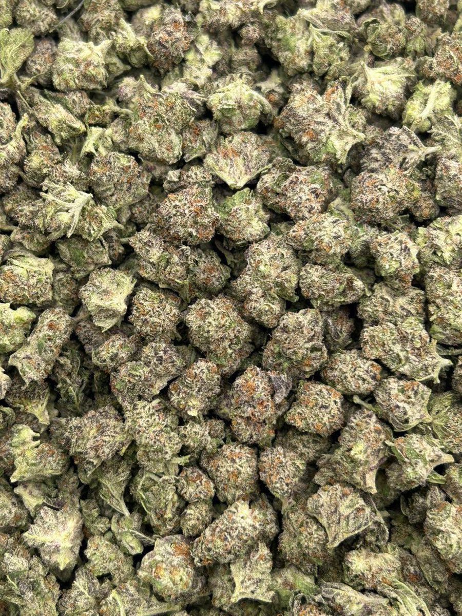 Jameskushplug's tweet photo. Weed #Melrose, Weed #Milngavie, Weed #Montrose, Weed #Motherwell, Weed #Musselburgh, Weed Nairn, Weed #Oban, Weed #Paisley, Weed #Peebles, Weed #Perth, Weed #Peterhead, Weed #Pitlochry https://t.co/I2Jima1rWj