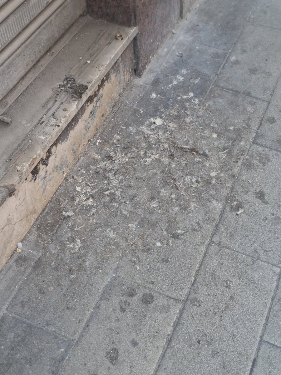 risiambar's tweet photo. @alicanteayto  @BarcalaSierra @saicalicante La acera de los números entre el 28 y el 36 de la calle Capitán Dema esta repugnante de las mierdas de las palomas. https://t.co/pVuehVMzDS
