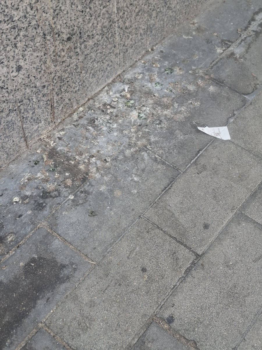 risiambar's tweet photo. @alicanteayto  @BarcalaSierra @saicalicante La acera de los números entre el 28 y el 36 de la calle Capitán Dema esta repugnante de las mierdas de las palomas. https://t.co/pVuehVMzDS