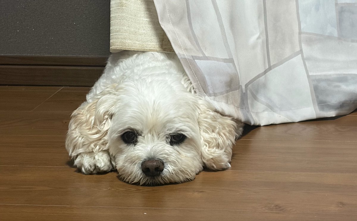 gedatubanzai's tweet photo. @hiron28826009 俺も焼肉待ってるんですが・・・・ https://t.co/JjqyHjfGEx