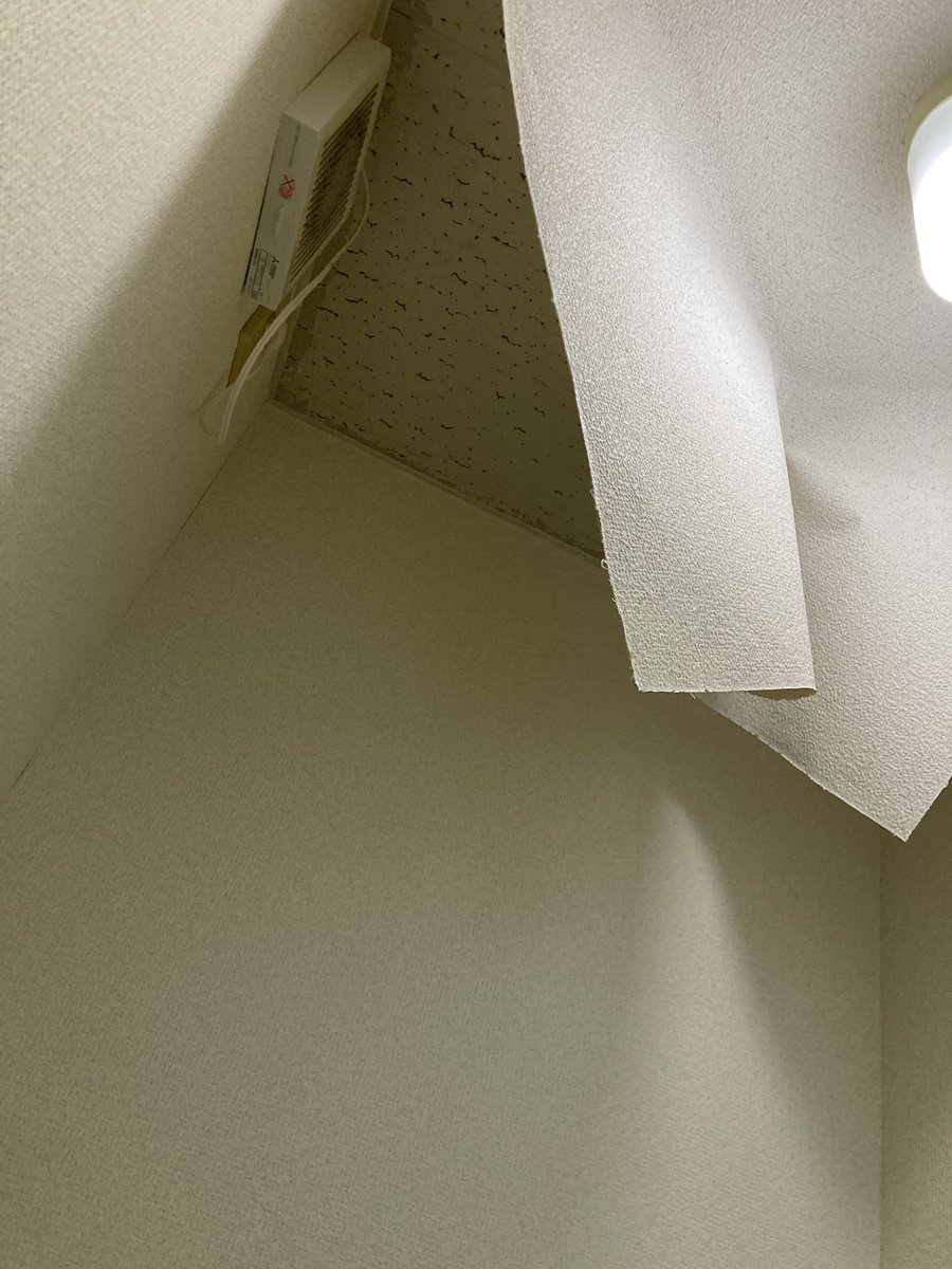 yu37550908's tweet photo. 皆言っても信じてくれないけどジプトーン？ソーラートーン？どっちか分からないけど、天井にクロス貼る業者が居ます笑
遊びに来た友達とか内装やってる人居ますけど
10何年空き家リフォームしても今住んでる家が初めてなんですけど普通なんですか？笑 https://t.co/Omvh8A3hxw