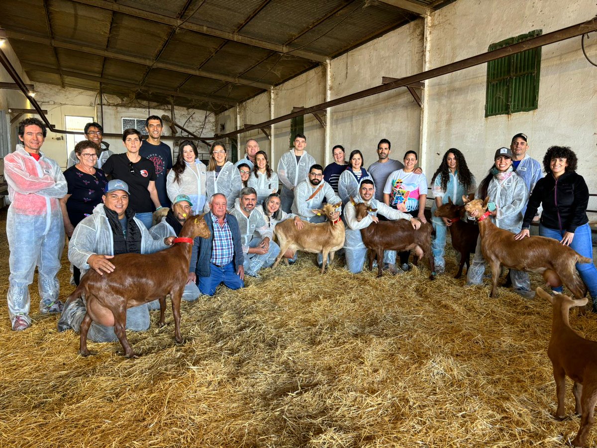 IfapaJunta's tweet photo. La @AndaluciaJunta abre las inscripciones para el #Curso Internacional de Expertos en Producción #Caprina 🐐
Esta #formación ganadera del #IFAPA busca mejorar la competitividad del sector caprino andaluz impulsando la #innovación 👨🌾
🌐Conoce más en: https://t.co/nyEyayKqpB https://t.co/j24DteFxoY