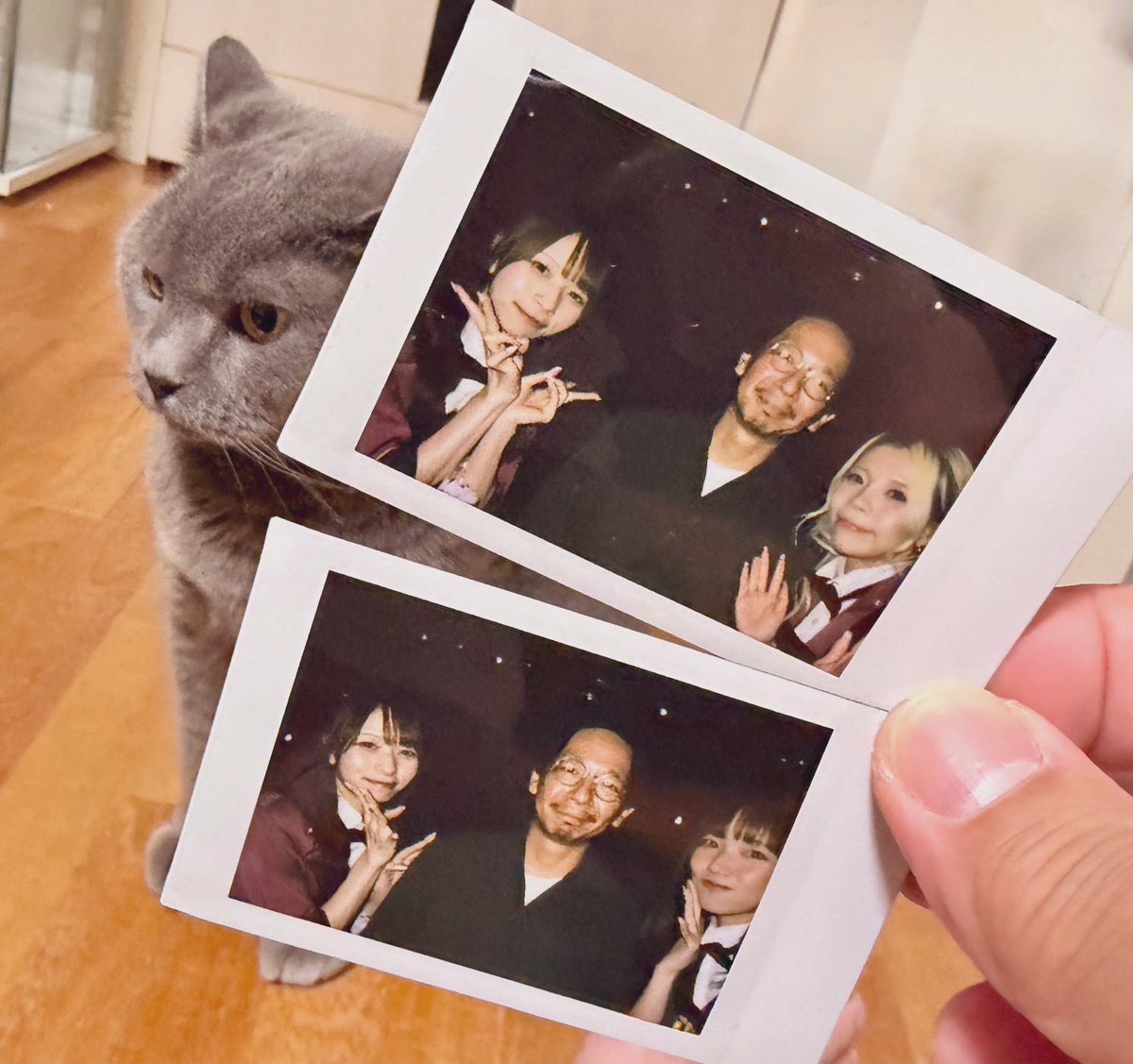 TERASHIMA_MAY's tweet photo. ココパテさんから文豪っぽい言われて文豪キャラアゲインだったのと、僕に代わって月ノさんに今日は帽子被ってないアピールが強めだったきらめーさんが可愛かったです。 https://t.co/8XmW850K0j