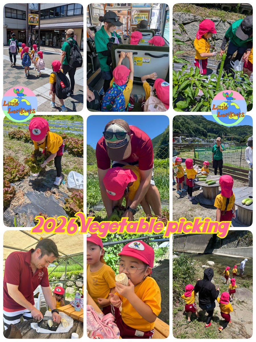 Littlelorikeets's tweet photo. 【大自然に飛び出そう！美味しい＆楽しいが大爆発した、リトルロリキーツの夏の川遊び＆野菜収穫遠足🤠🌽】

みなさん、こんにちは！☀️ 7月に入り、いよいよ夏本番のワクワクする季節がやってきましたね！

今日は、年中（Year 4）さんと年長（Year 5）さんクラスがずーっと楽しみにしていた「野菜収穫＆川遊び遠足」に行ってきました！今回は初めて訪れる新しいロケーションということもあり、出発前からみんな興奮気味でエネルギーいっぱい！✨🚀

お世話になった農場主さんは日本語でお話をされる方でしたが、実はこれもお子様たちにとって素晴らしい学びの機会なんです💡

まずは農場主さんからの丁寧な日本語の説明をしっかりと耳で聞き、その後、私たちが同じ内容を英語で分かりやすく解説します。このステップを体験することで、子どもたちは頭の中で2つの言語を自然にリンクさせ、日本語と英語の両方をバランスよく発達させていきます。

遠足では、みんなで大きな袋いっぱいに新鮮なお野菜を収穫しました！そしてランチタイムには、採れたてのジューシーでとっても甘い「ホワイトコーン」をパクリ！🌽 あまりの美味しさに、みんな満面の笑みがこぼれていました😋❤️

お腹がいっぱいになった後は、待ちに待った川遊びタイム！冷たくて気持ちいい清流のなかで、思いっきり夏の自然を満喫しました。いつもより少し長いバスの旅でしたが、誰もぐずることなく、お兄さん・お姉さんらしくとっても立派に、たくましく過ごすことができましたよ🚌👏

���さな毎日の冒険と、五感を使ったリアルな体験の積み重ね。これこそが、言語の枠にとらわれず、世界中どこへ行っても自分らしく堂々と行動できる「Leaders who can communicate in English and Japanese proficiently（日英バイリンガルな未来のリーダー）」へと成長するための、確固たる土台となります。 
 
次の収穫イベントは、秋の「さつま��も掘り（Sweet potato harvesting）」を予定しています！今から秋の訪れが待ち遠しいですね🍁🍠

机の上のお勉強だけでは得られない、一生モノの確かな成果を。
「Little Lorikeets, where results are gained.」  

リトルロリキーツでは、現在新しいお友達（2歳児〜5歳児クラス・保育園枠）を大募集中です🌸 子どもたちがのびのびと自然に国際感覚を吸収していく温かい1 room環境を、ぜひ一度見学しに来てくださいね😊  

🟢 スクールへの見学お申し込み・お問い合わせはこちらからお気軽にどうぞ！👇

🟢 LINE Official: https://t.co/30LFXOB3IJ
📧 Email: info@littlelorikeets.com
📍 Access: 阪急池田駅から徒歩6分（https://t.co/ZHgQPvfCid）  

#リトルロリキーツ #国際幼稚園 #自然体験保育 #池田市保育園 #大阪ママ