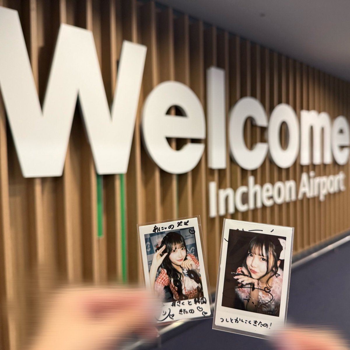 kkfk24's tweet photo. 一足先に韓国到着〜〜✈️🇰🇷

#つしとかんこくきたの！ 
#さくと韓国きたの https://t.co/IX7tGxZ08R
