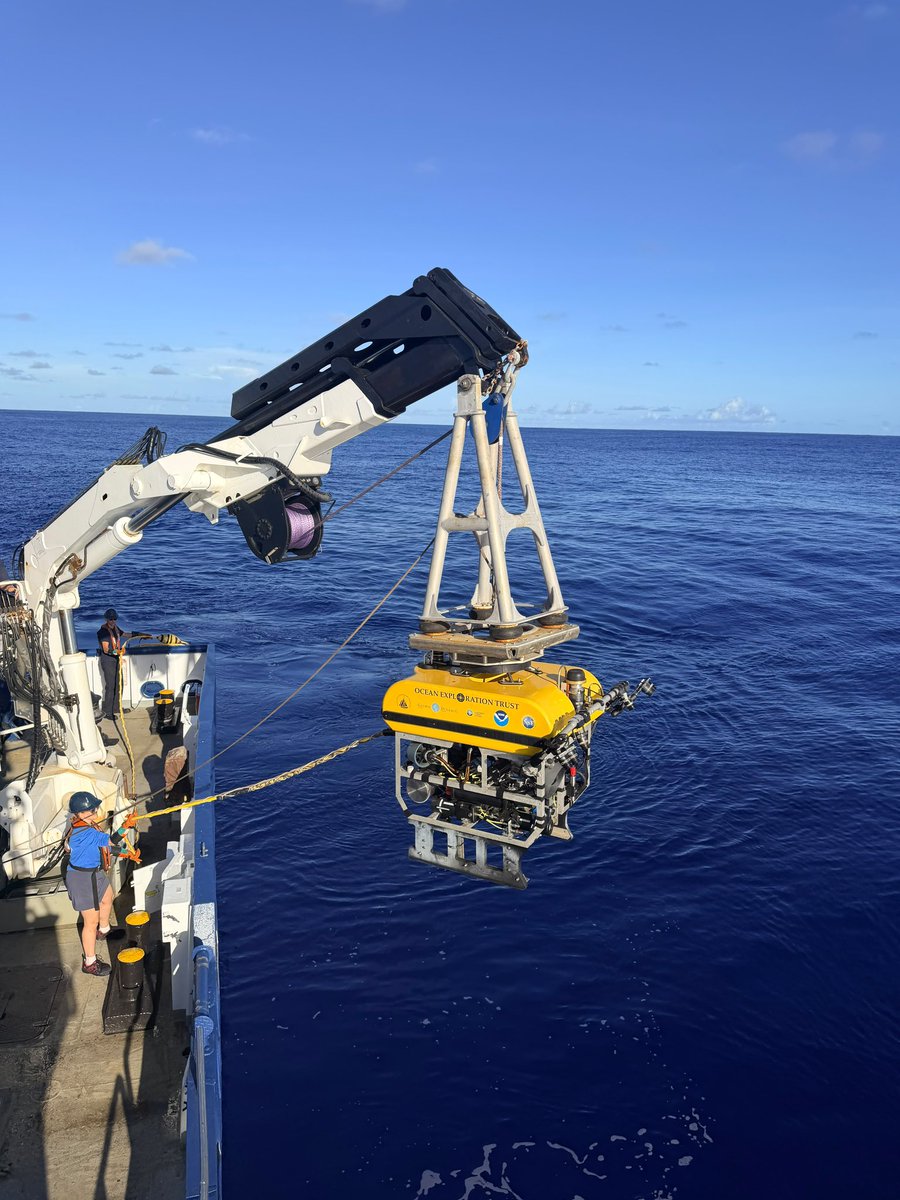 EVNautilus's tweet photo. 🚨 #DiveAlert! #ROVLittleHercules is descending to over 5,800 meters to explore the abyssal plain. Watch live at https://t.co/zhUi3dQOeD https://t.co/iy1dGaIIhS
