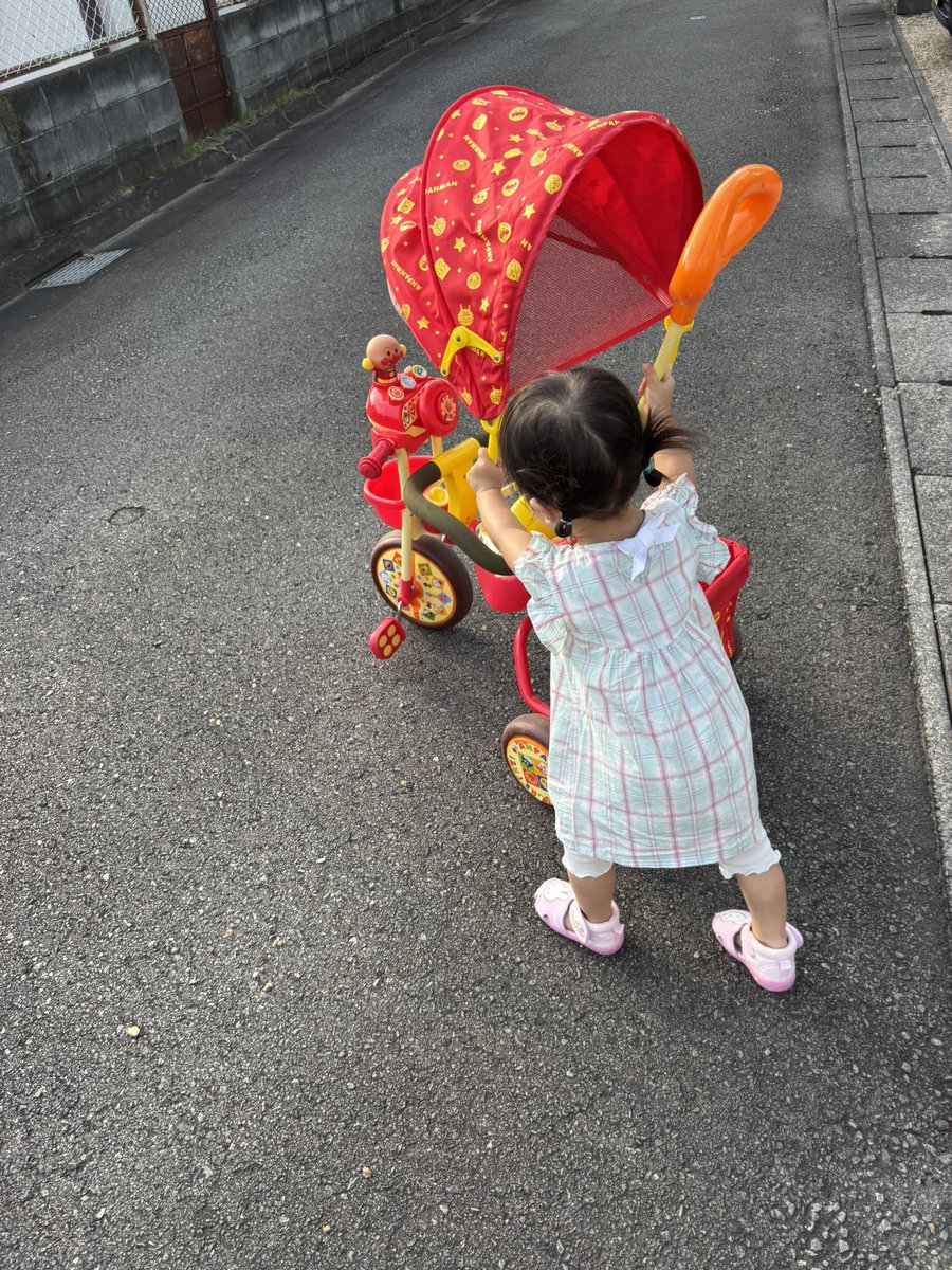 ましゅまろページ 乗るよりも押したい子…