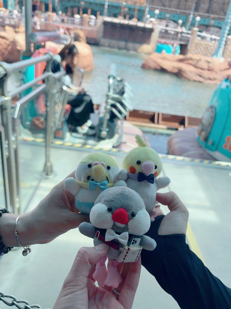 Raiki06's tweet photo. 鳥飼い審神者チームでシー🌏🌋行って遊んで来ました✨前夜に追い込みほんの気持ちお礼で虹音ちゃんとパオちゃんを作って行ったのです🐥🐥🐥二万歩の充実巡り、アクアトピア直前でメンテ入ったけど無事に水浴びも出来てめっちゃ楽しかった✨ https://t.co/OgqCQ11UmN