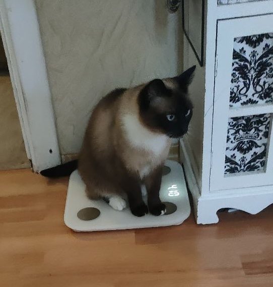 Shako_WTF's tweet photo. Ситуація наступна… https://t.co/SKfMiXd4DF