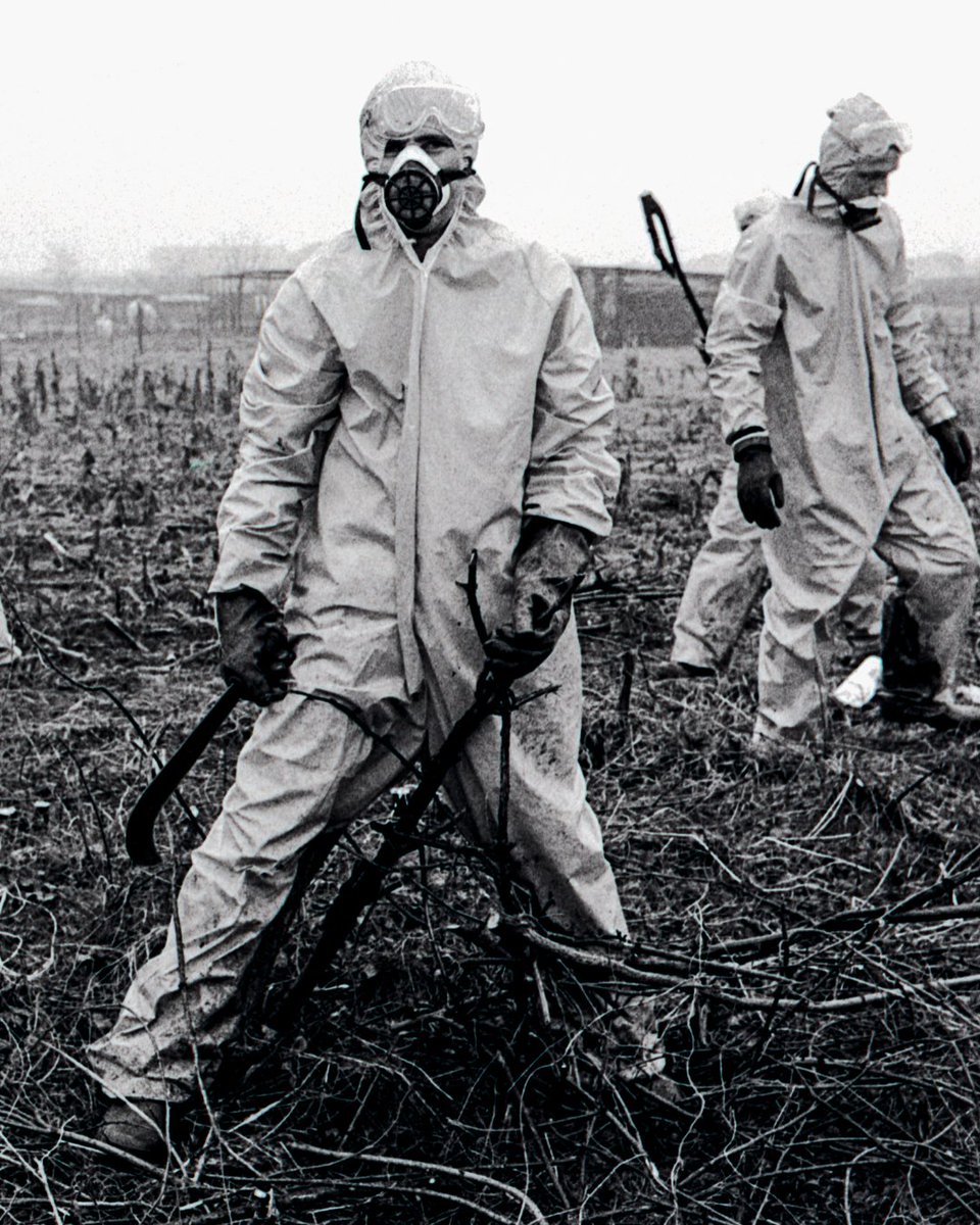 EU_Commission's tweet photo. ⚠️ 10 July 1976: An explosion at a chemical plant in Seveso 🇮🇹 released a toxic dioxin cloud over the town, causing one of the worst man-made environmental disasters in Europe. 
 
It played an important role in strengthening Europe’s industrial safety framework. https://t.co/Asac3qVSeC