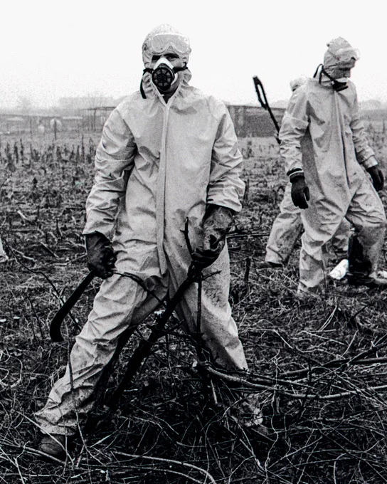 A black-and-white photograph of two environmental cleanup workers in full protective suits, goggles, and respirator masks. The worker in the foreground holds a brush hook tool while standing amidst dry, overgrown brambles and branches in a barren field.