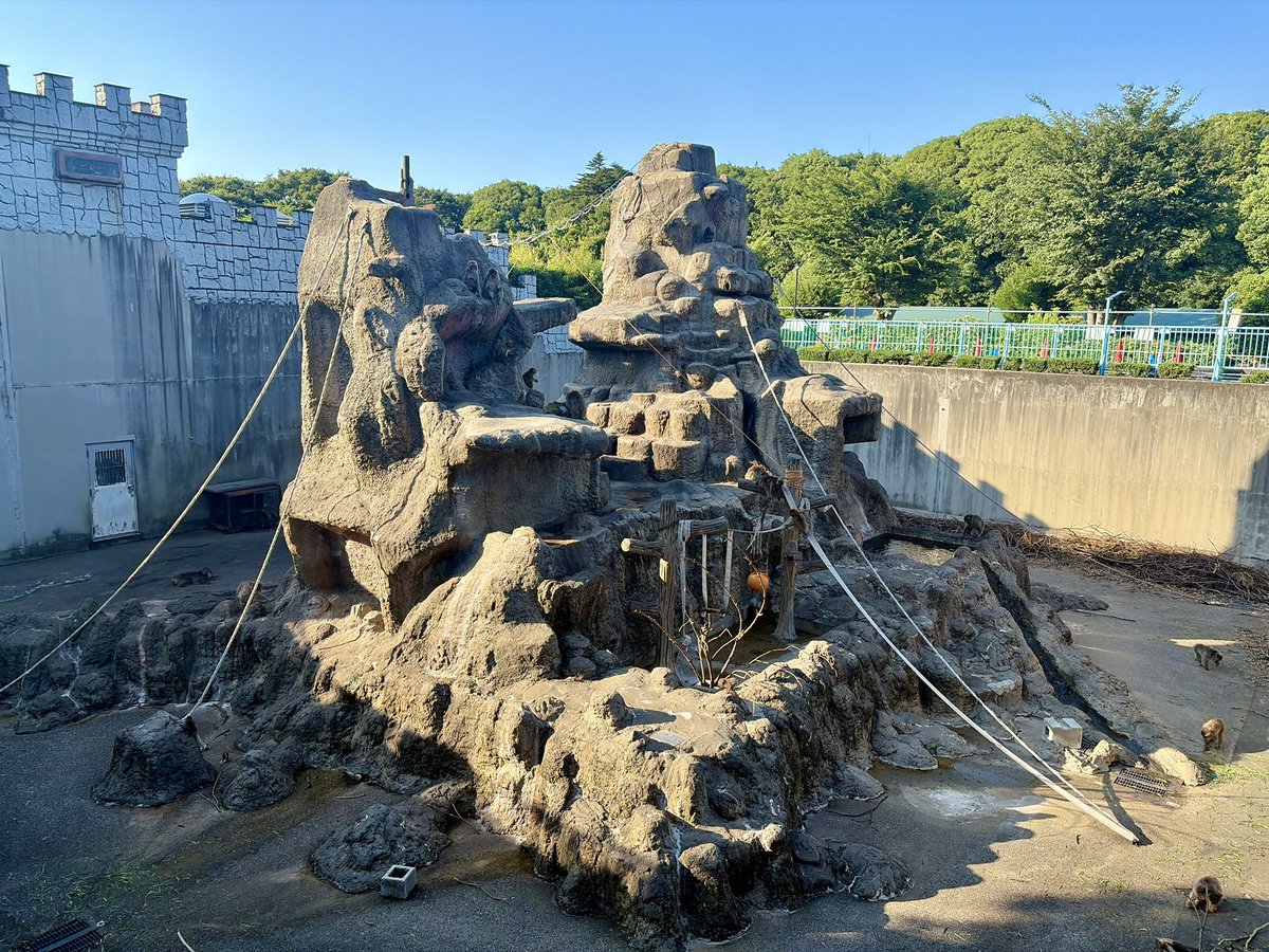 ichikawa_zoo's tweet photo. 本日、サル山バックヤードの
エアコンの設置が概ね完了し、
使用できるようになりました。

サポーターの皆さんからのプレゼント、
きっとサル達も喜んでいると思います！
本当にありがとうございました！
今日はその記念に #パンチをさがせ をお届けします！

#市川市動植物園
#がんばれパンチ https://t.co/i9ixZNp1Rr