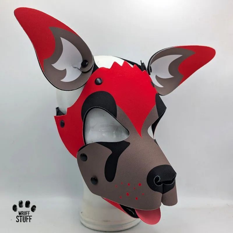 Wruff Stuff 🐾 tweet media