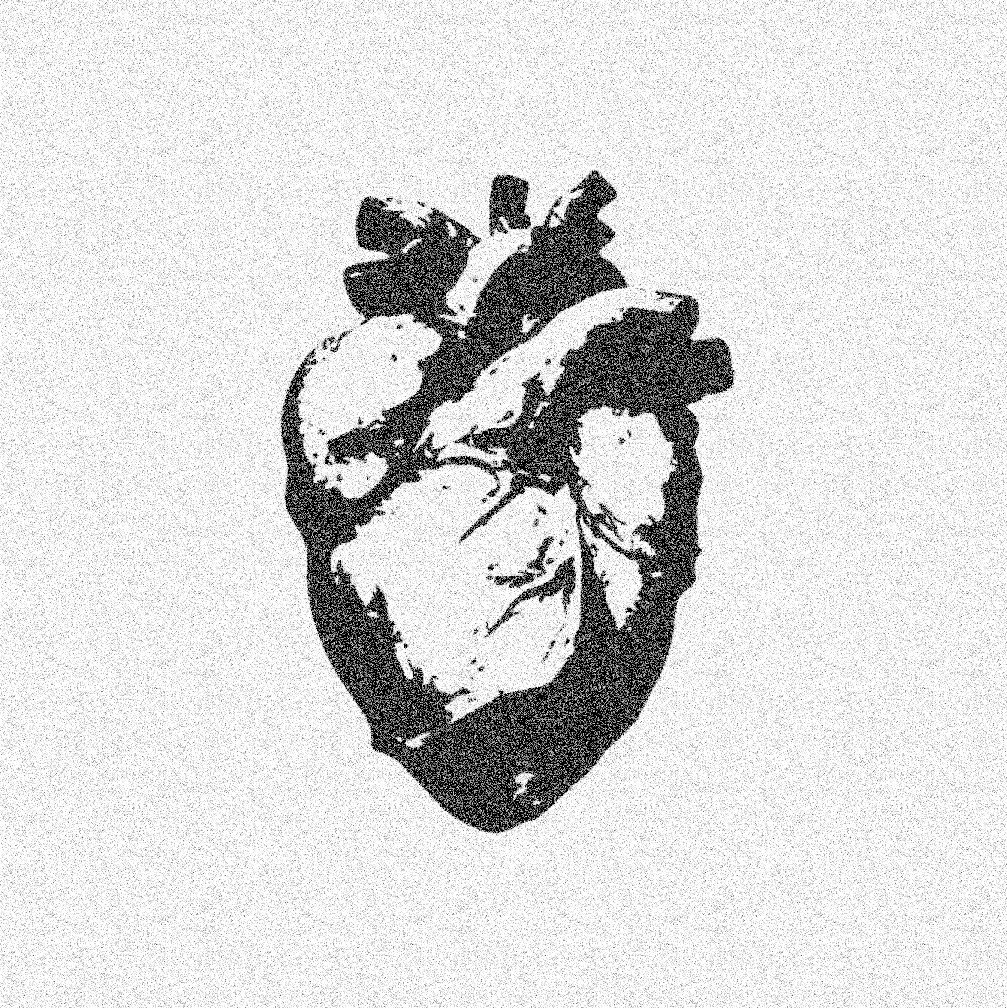 pharmaphobic's tweet photo. ︵︵  ₊   moothunt  .  day 1  💌  !!   𓏴𓏴  .
   ( ♡/↻ for fb! )

        ⊹  .  VINN  ;  she/her  ;  17
         entj vlfe so/sp 387 ◞   ₊  𖥻
> > bmi ~15  ++  ocd, gad, susp npd
 [ … ] fandoms : bsd, csm, dn, vnc

   𓂃 #slittwt #shtwt #edrtwt 
      #bsdshedtwt #shedtwt https://t.co/fcgL7MSNSM