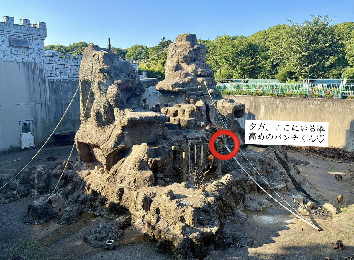 mari_onew's tweet photo. @ichikawa_zoo https://t.co/cPiR855XVs