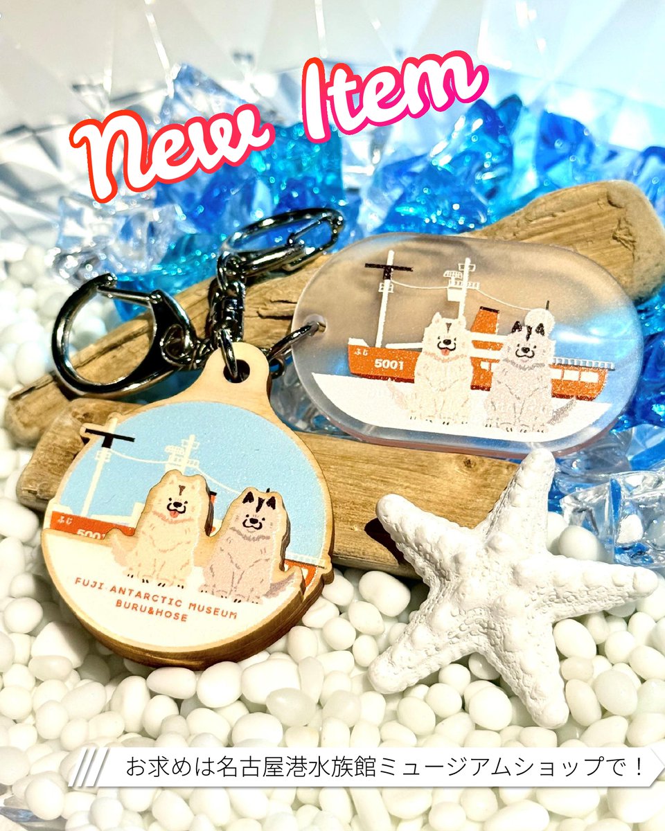 pb_ph_fuji's tweet photo. 【NEW】ふじグッズ情報✨

ふじに乗って南極へ行った犬「ブル」と「ホセ」
 
渋カッコイイグッズが続きましたが、可愛いイラスト系も登場♥

お求めは、名古屋港水族館のミュージアムショップにて🚢

「ブル」「ホセ」グッズ、今後も登場予定です！

#南極観測船ふじ　#グッズ　#NEW https://t.co/24MdMktCLf