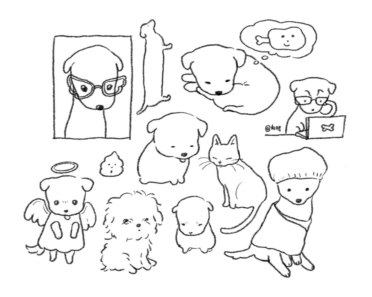 chiikax2's tweet photo. 강아지 박사가 되는 그날까지 https://t.co/hQhQ7SRMUE