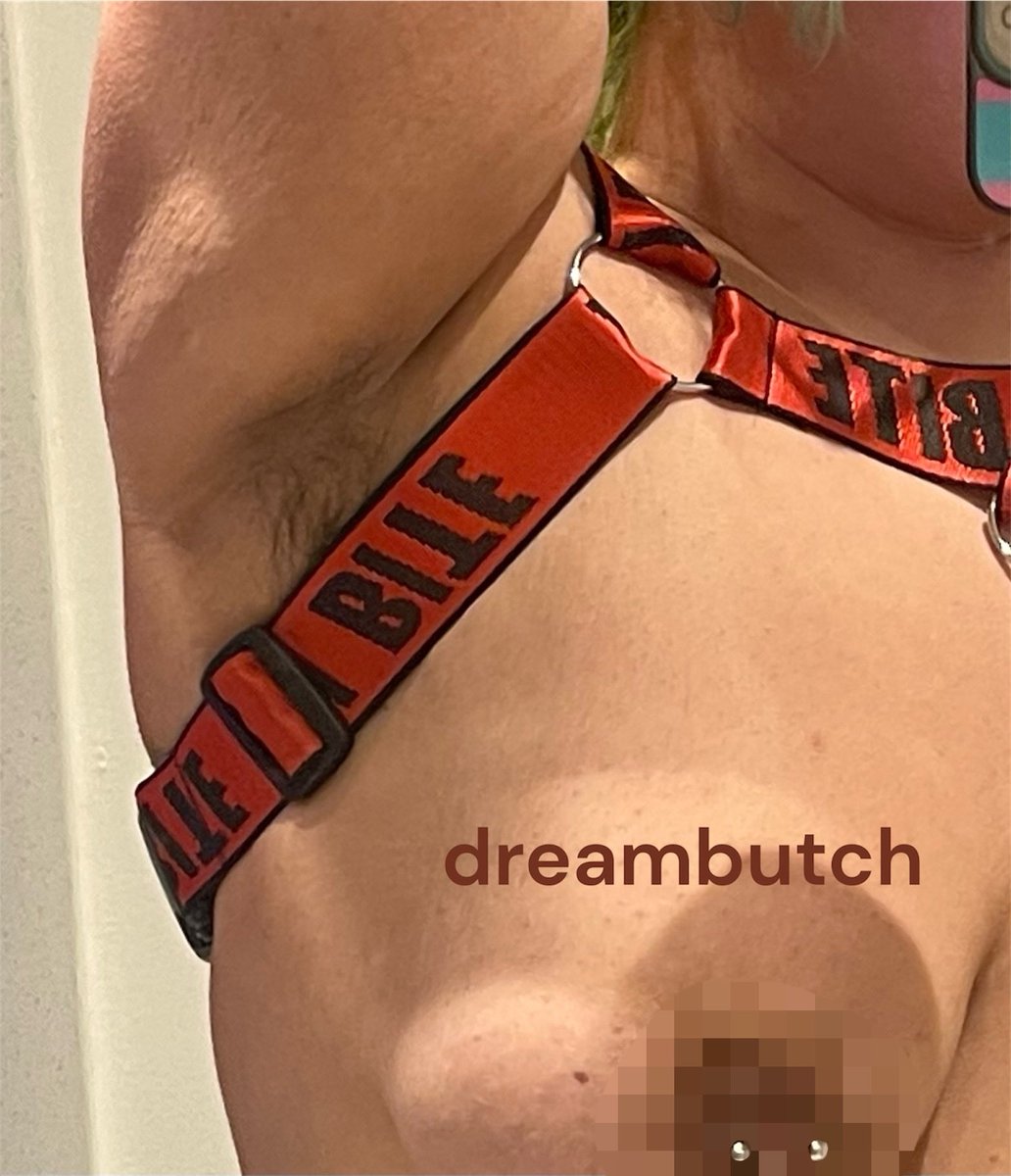 XxDreamButchxX's tweet photo. just realized the harness is upside down whateverrrr this still looks hot :3c uncensored hairy pits cuz im just that generous https://t.co/FcnoIKAfFv