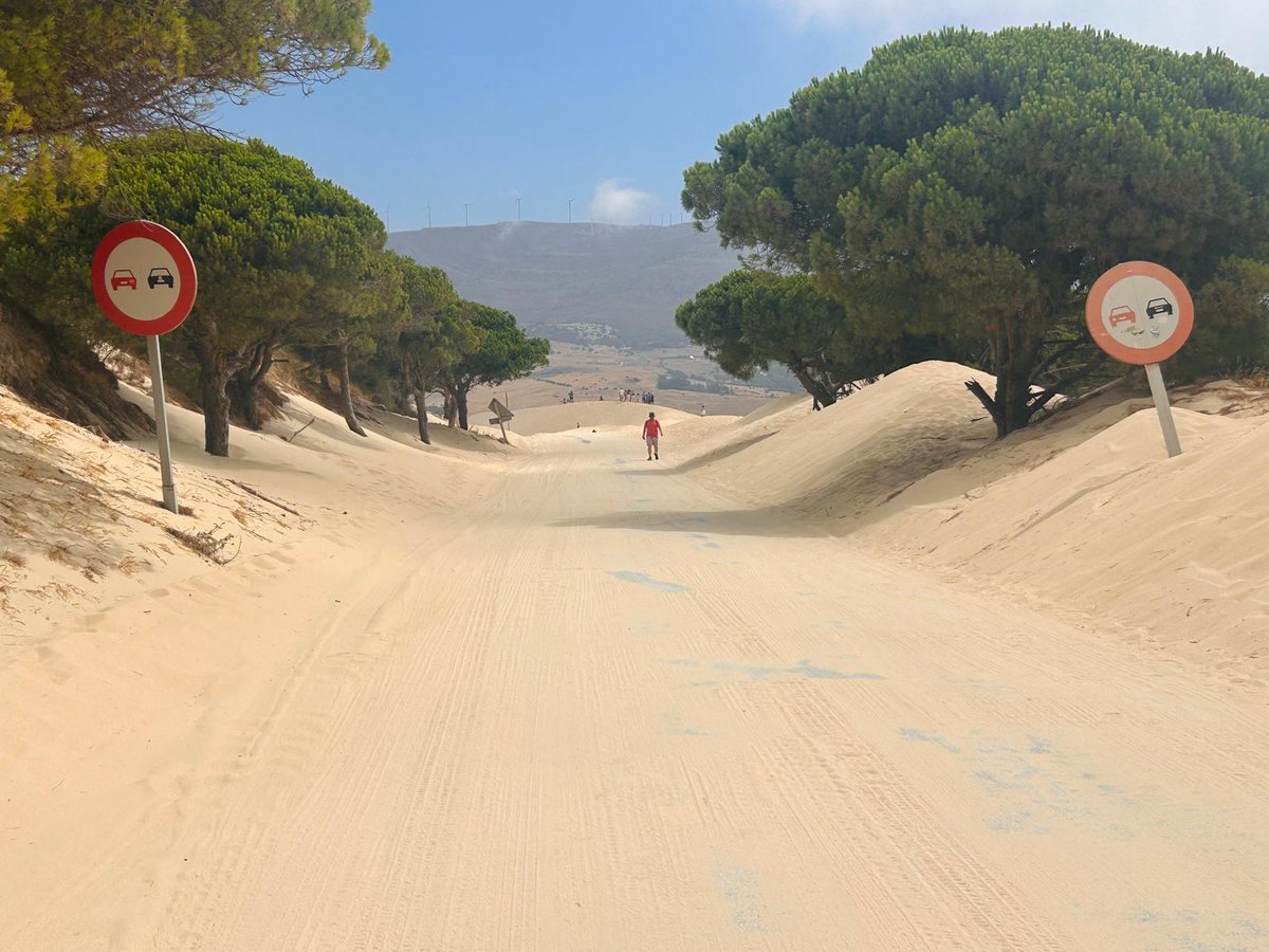 gomezdetejada's tweet photo. En un lugar recóndito de Tarifa (Cádiz).

Fotografía: Amparo Gómez. https://t.co/RLpNi2xXMP