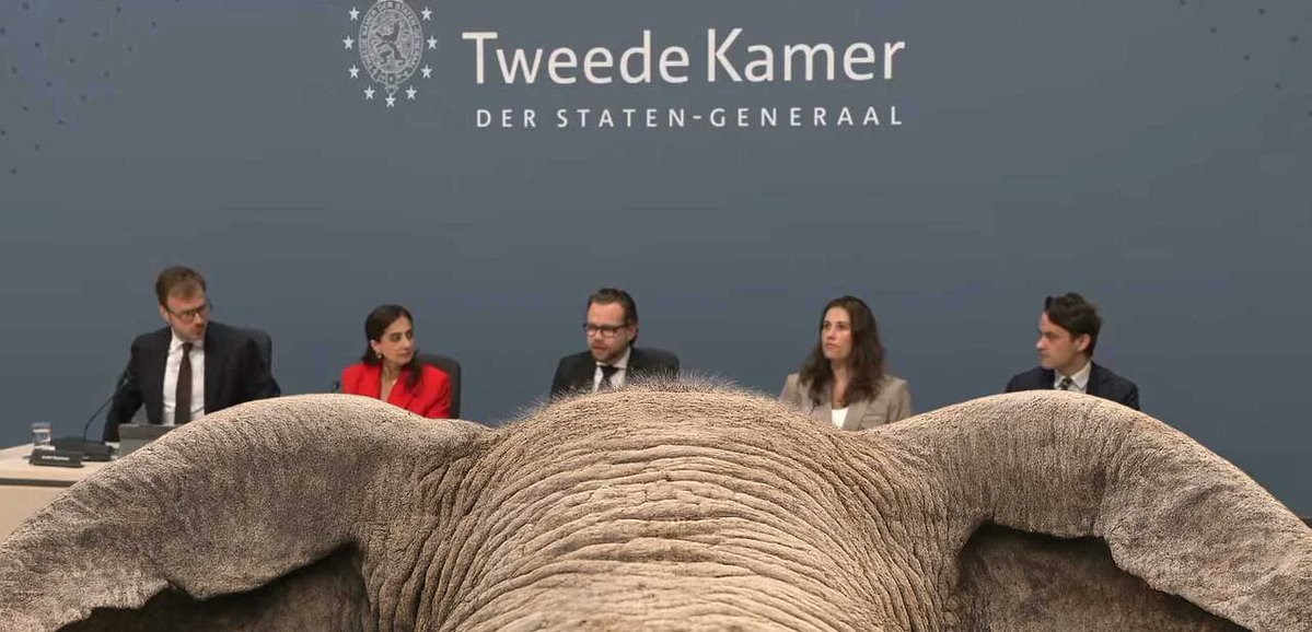SteigstraHerman's tweet photo. Een vlijmscherpe analyse van Jan van der Zanden (o.a. ex-CBS) over de verhoren van Maurice en Mona. Doodgezwegen in de media: ....de democratische rechtsstaat heeft gefaald.

https://t.co/m2eq8dQq5s https://t.co/1wPBBHTgA2