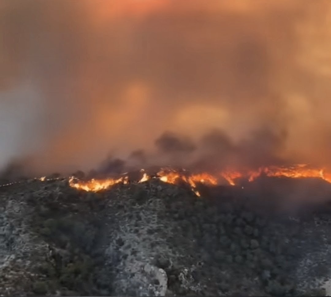 PmAguera's tweet photo. ⚫️ Consternado por el terrible incendio en Los Gallardos. 

Nos unimos al dolor de las familias y seres queridos de los fallecidos.
Descansen en paz. https://t.co/wmrJRUYSck