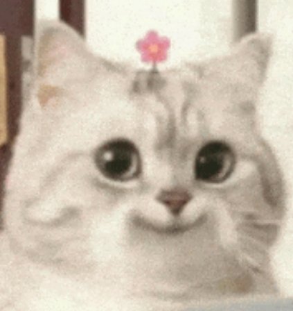 TsukiMidna's tweet photo. accurate representation of me in this picture. https://t.co/AucUmfOXuD
