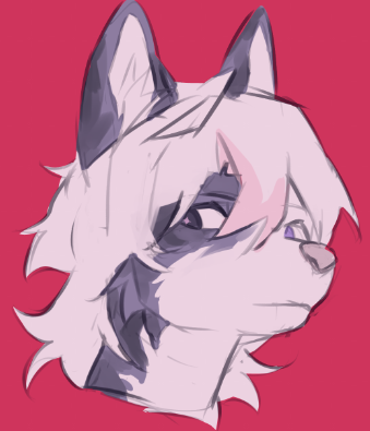 1Kalmia's tweet photo. Doodle https://t.co/XdmGMHoLL7