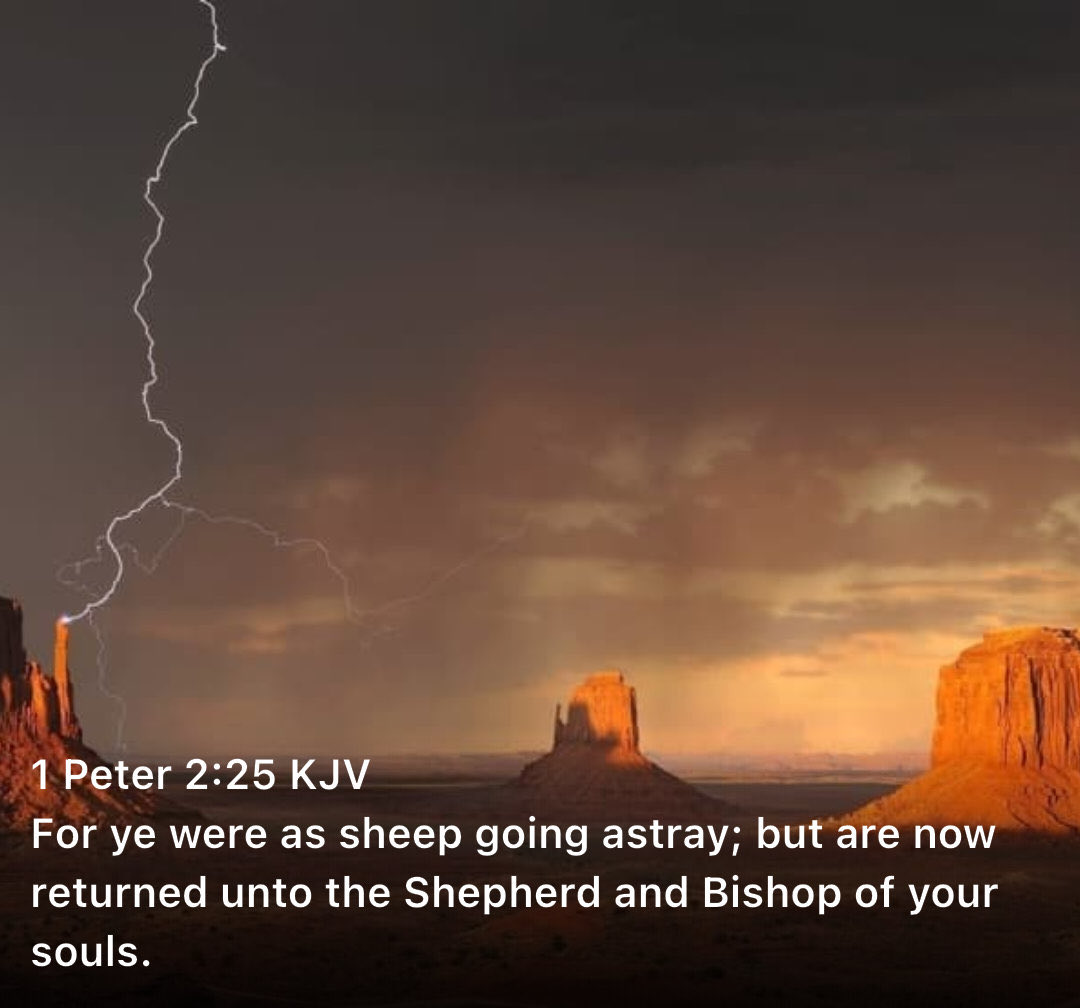 neumarine's tweet photo. Praise HIM! HE is my soul’s rescuer! https://t.co/nEskIPj8Rk