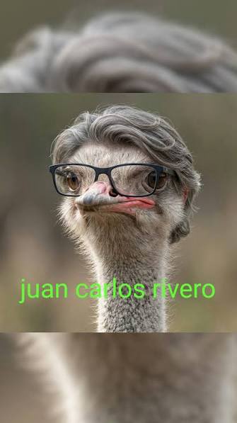 ivan_ika96's tweet photo. @RealJaenCF Nunca te veré igual… @JCRIVEROTV https://t.co/xsF8Can923