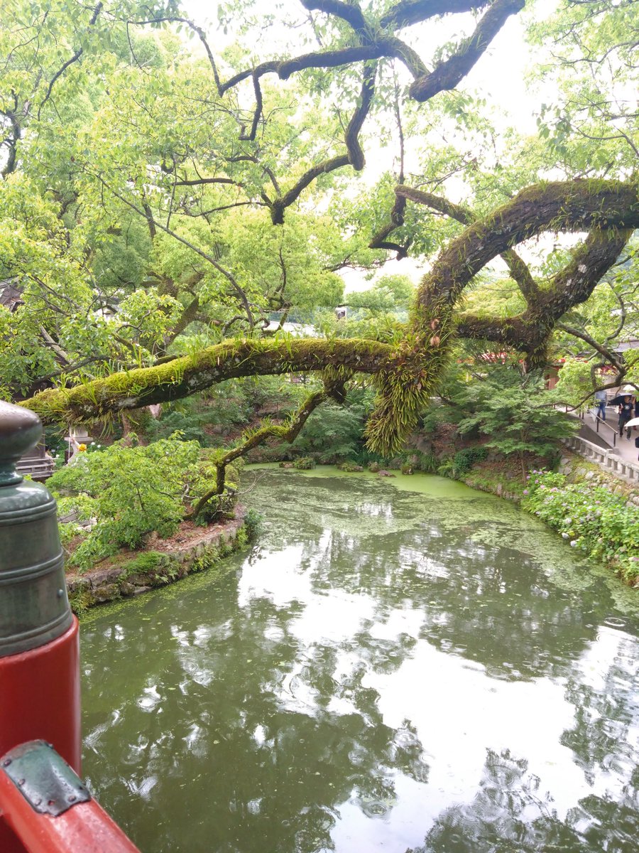 dice_DX10's tweet photo. エントリーナンバー1、太宰府参道のもつ鍋ちゃんぽん。
いきなりもつ鍋の〆だけ味わうかの如き暴挙。意外ともつがたくさん入っててとても良かった。

せっかくだから梅ヶ枝餅も食べたけど、うん、まあ、餅だね。普通においしい。 https://t.co/Kpso3tNIBW
