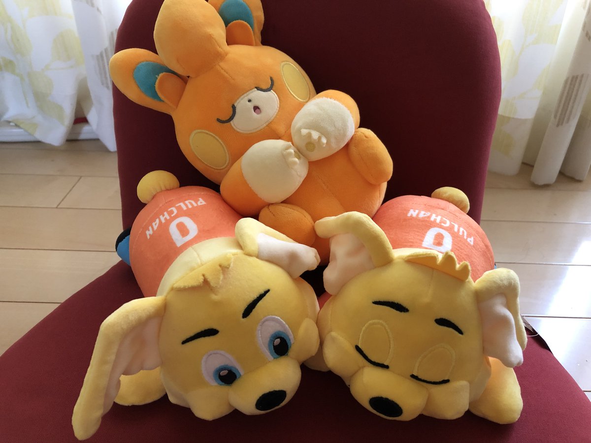 wazuka's tweet photo. パモ！
#spulse https://t.co/wO4jEKoP3b