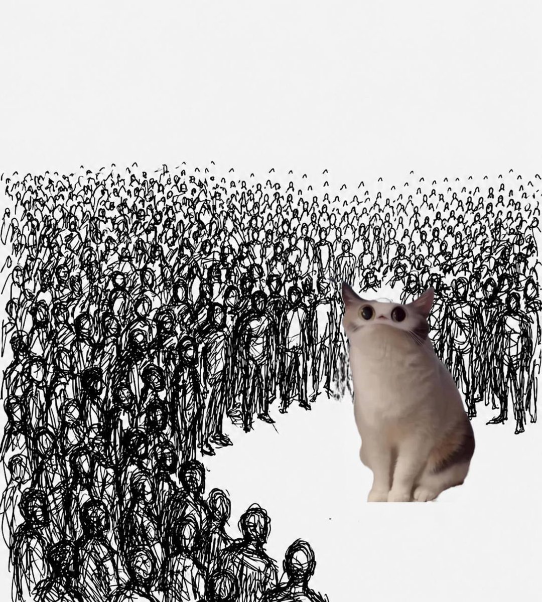MeepCatonSol's tweet photo. The next chapter of memes won't be written by dogs
It'll be written by cats that already conquered the internet

Meep isn't just another cat coin it's culture with a ticker https://t.co/SMP17RiTi7