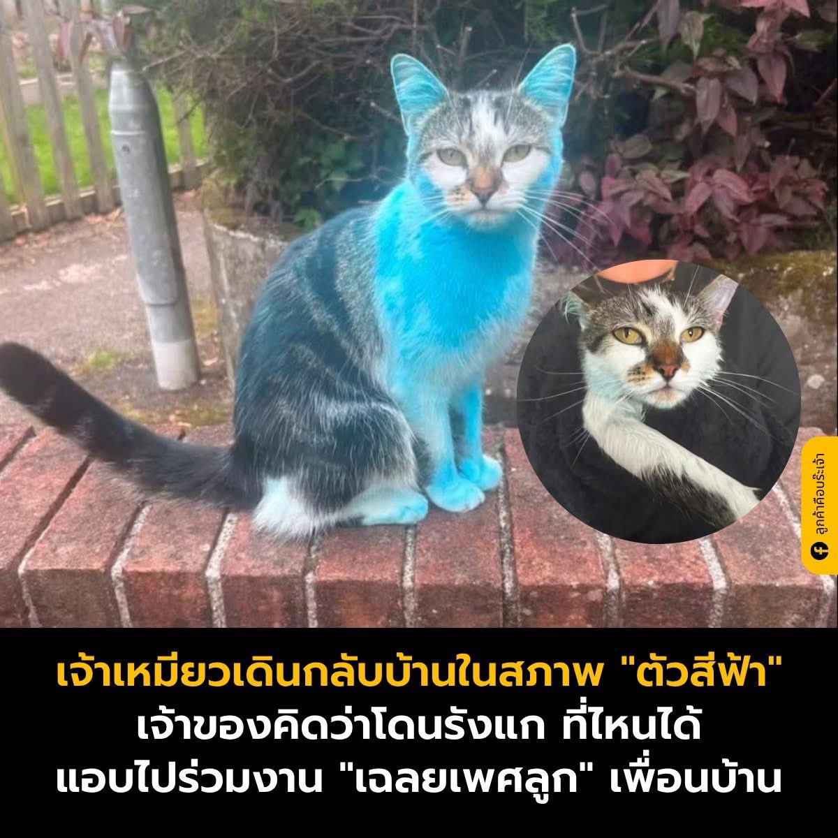 sipsipdrinkmeup's tweet photo. ยินดีด้วยครับ คุณได้ลูกชาย😆 https://t.co/TTysKGbnbm