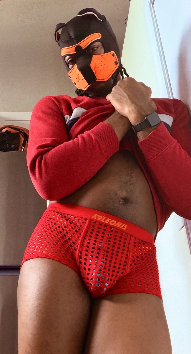 K9Leonis's tweet photo. Feeling so cozy 🤤🩵🐕‍🦺

#NubPup #Pupplay
#Petplay #Ddlb #Chastity https://t.co/0z94hMYbNl