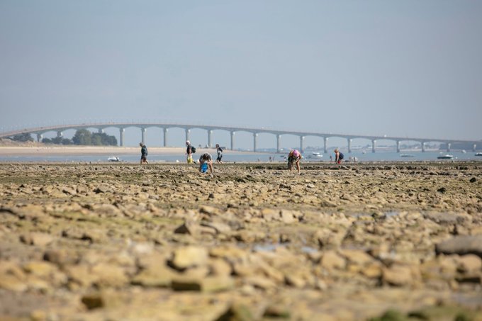 Image de l'actu de Département de la Charente-Maritime