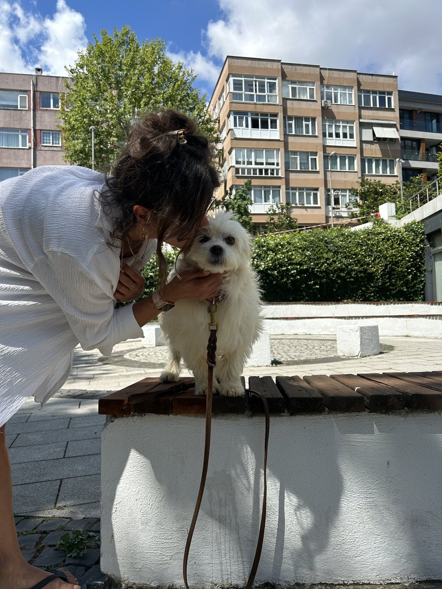 Bedtimemilk's tweet photo. Yuva arıyoruz, istanbulda 4 yaşında. Tuvalet eğitimi var, kedilerle köpeklerle iyi, dişi, kısır. Evde yalnız kalabiliyor, hiçbir şeyi kemirmiyor. Havlamıyor. Ve çok tatlı ❤️

Paylaşarak şansını artırabilirsiniz, iletişim ben https://t.co/ocqmj6MUxZ