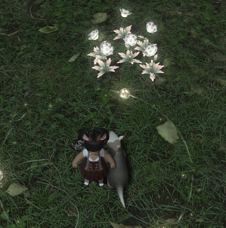 yotsuyuu's tweet photo. i found a random patch of elpis flowers in labyrinthos how did i just notice https://t.co/BQ3wOeYmNV