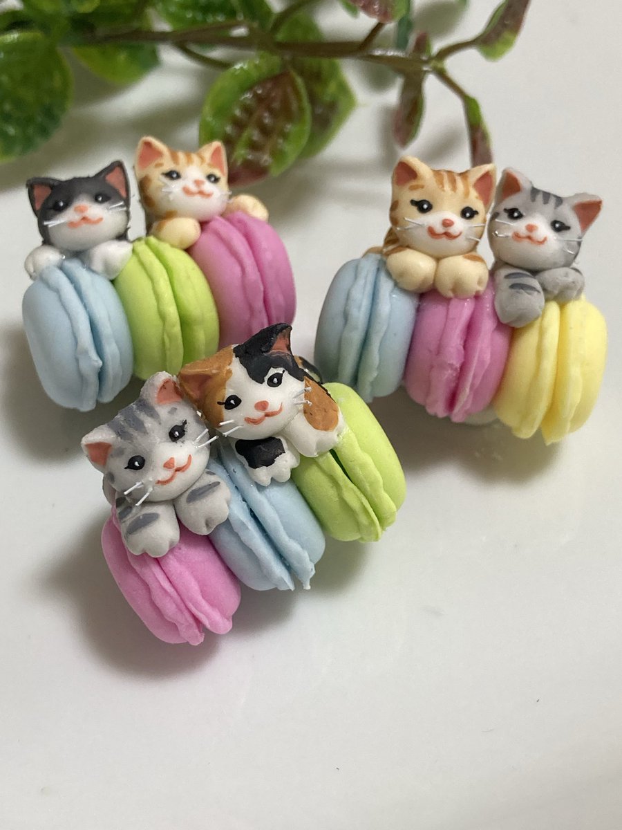 アップルココ (@_applecoco) / Posts / X