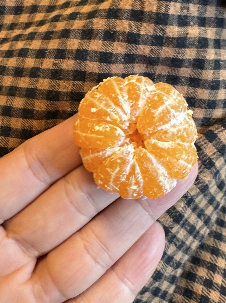 pironn's tweet photo. ちっちゃくて甘い、薄皮丸ごと食べられるのよね。
佐賀県産 https://t.co/fbYse4CXwc