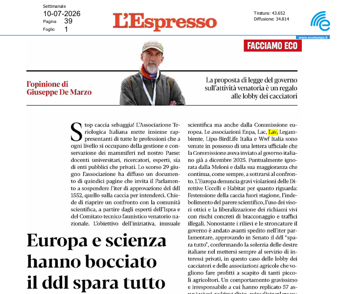 LAV_Italia's tweet photo. Non solo la comunità scientifica, ma anche la Commissione Europea ha bocciato il Ddl "Sparatutto" che non fa altro che regalare ai cacciatori le vite degli animali selvatici. Noi continueremo a sostenere #StopCaccia! Su @espressonline👇 https://t.co/pAERukIYRO