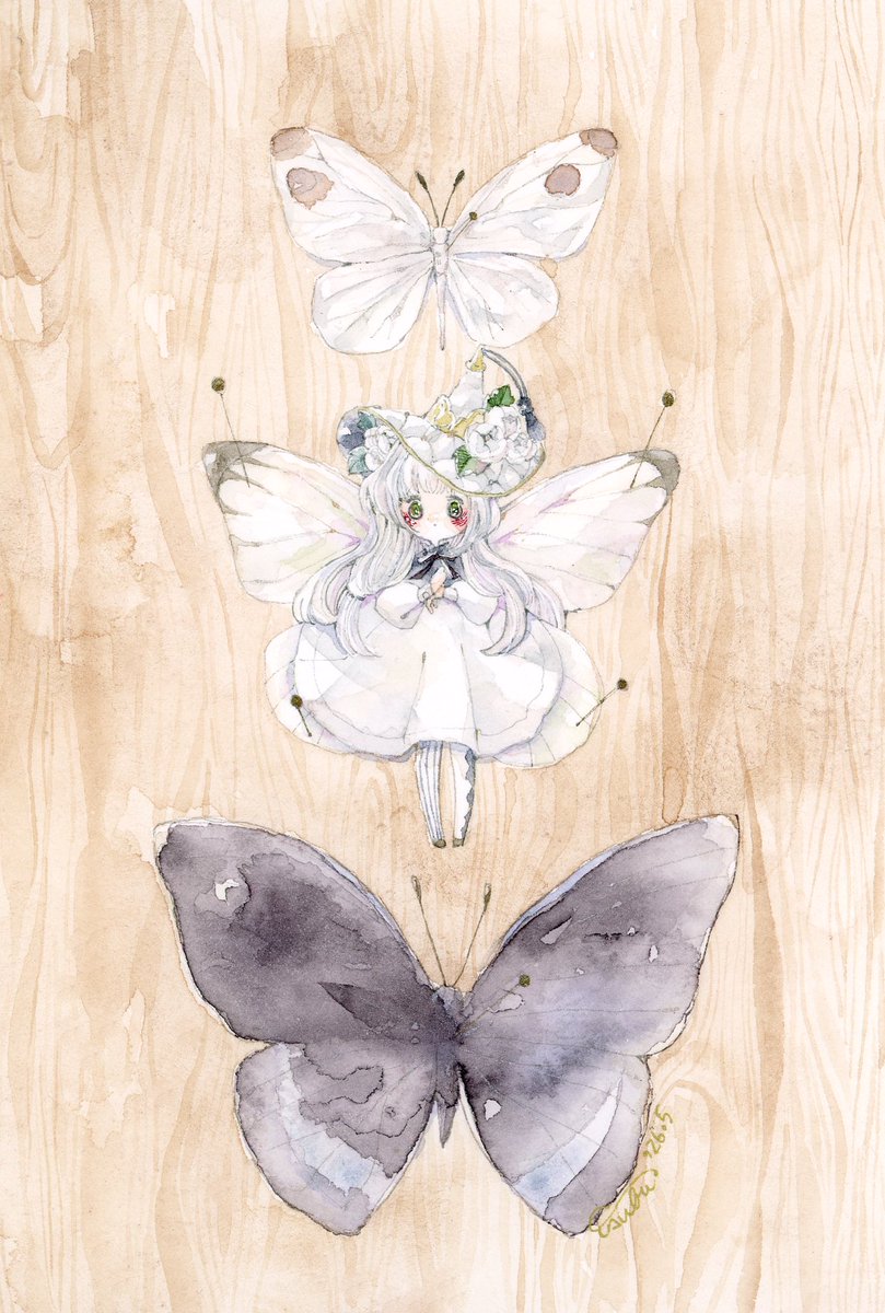蝶の標本』 #tsubu_art