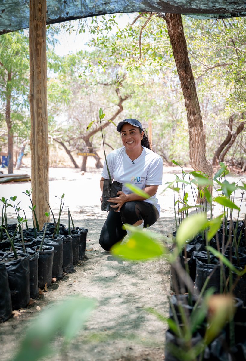 UNDP Planet tweet media