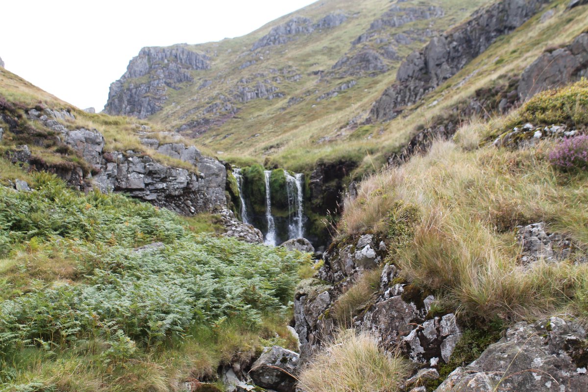 PhilSipocz's tweet photo. @tutty352 It is quite a long valley. We followed the College Burn and ascended through Hen Hole. About the most dramatic bit of the Cheviots. lovely part of the world though. @NorthWestFoss might like these. https://t.co/vlAavlZ0YC