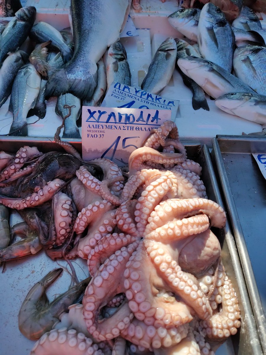 vjadzic's tweet photo. Μαγική Ελλάδα https://t.co/O39MBzKwQT