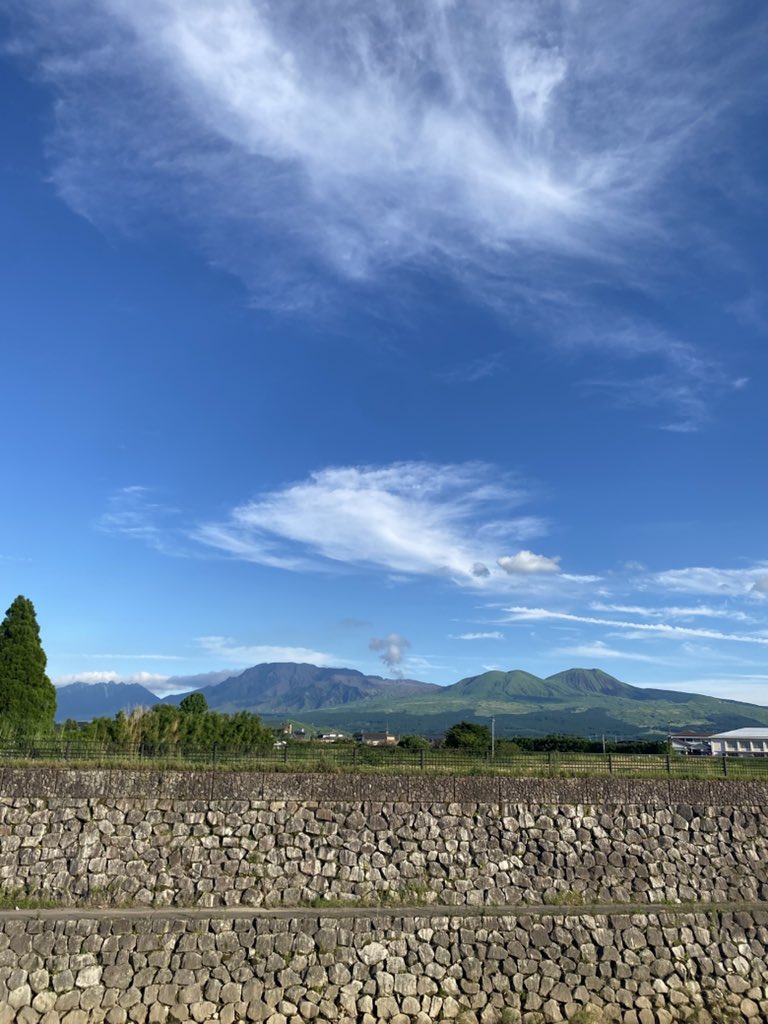 Can1201hero's tweet photo. おじゃまします🐻 https://t.co/6dBJM1FOsK