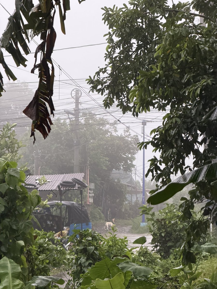 shtthv's tweet photo. may fog na dito , sarap mag canton https://t.co/bB89LZvQcZ